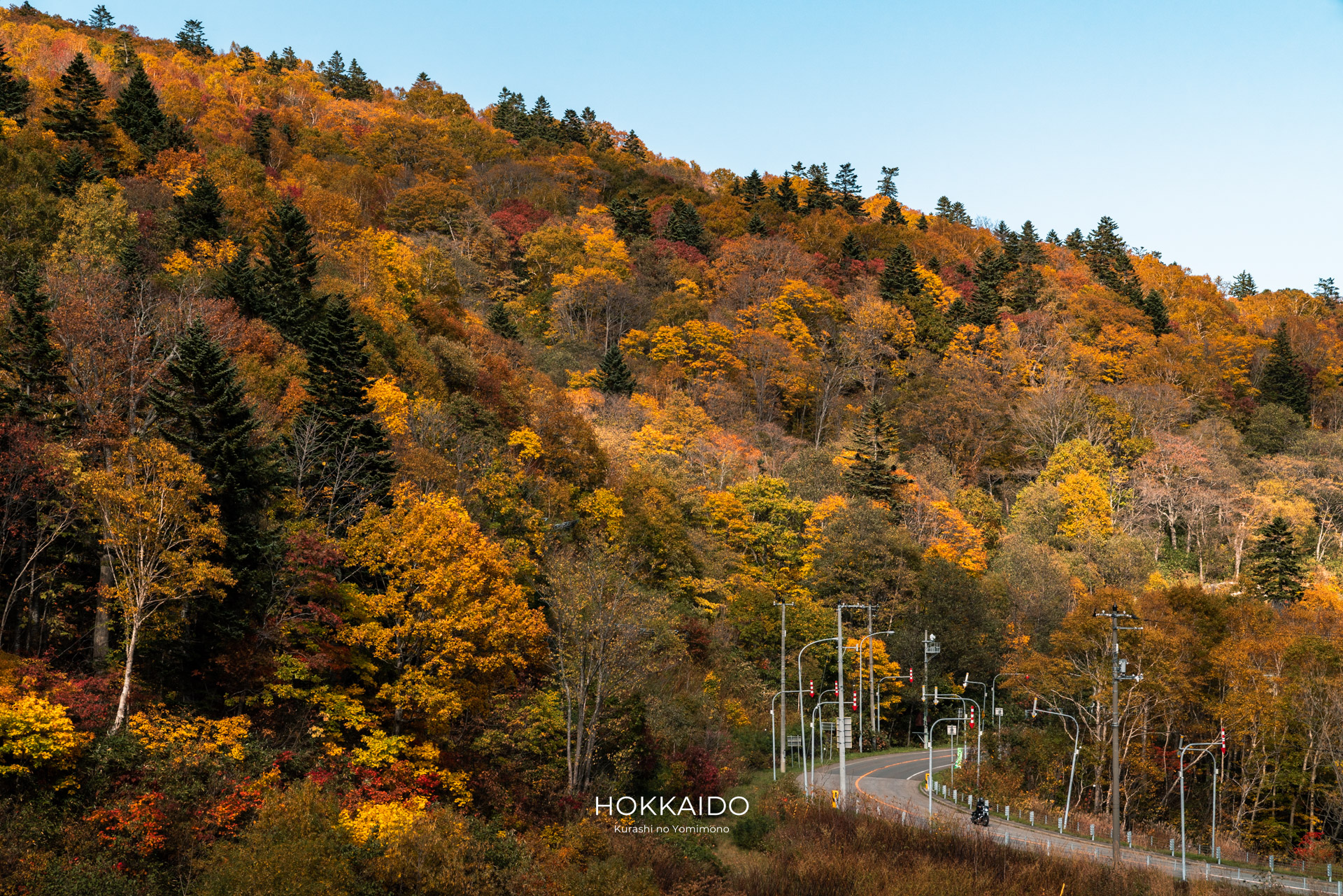 札幌国際スキー場 Sapporo Kokusai Ski Area 画像9