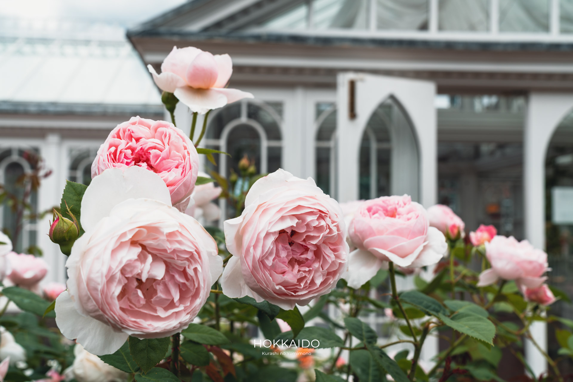 白い恋人パーク Shiroi Koibito Park 画像3