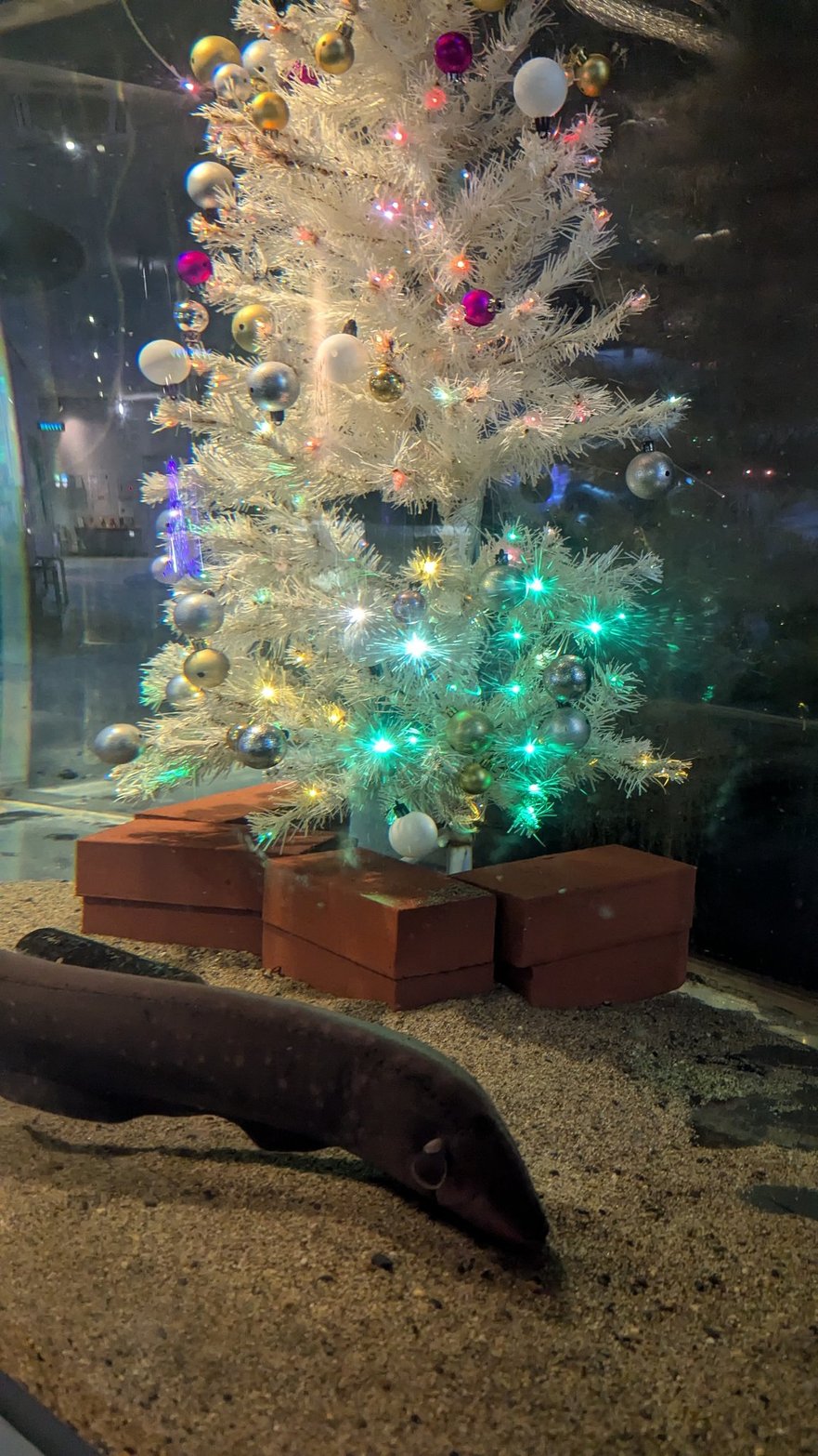 新さっぽろサンピアザ水族館