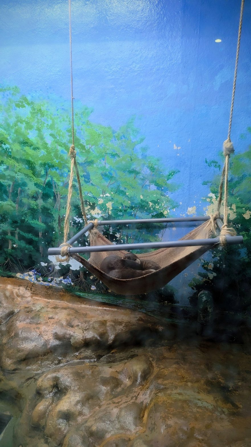 新さっぽろサンピアザ水族館 Sunpiazza Aquarium 画像5