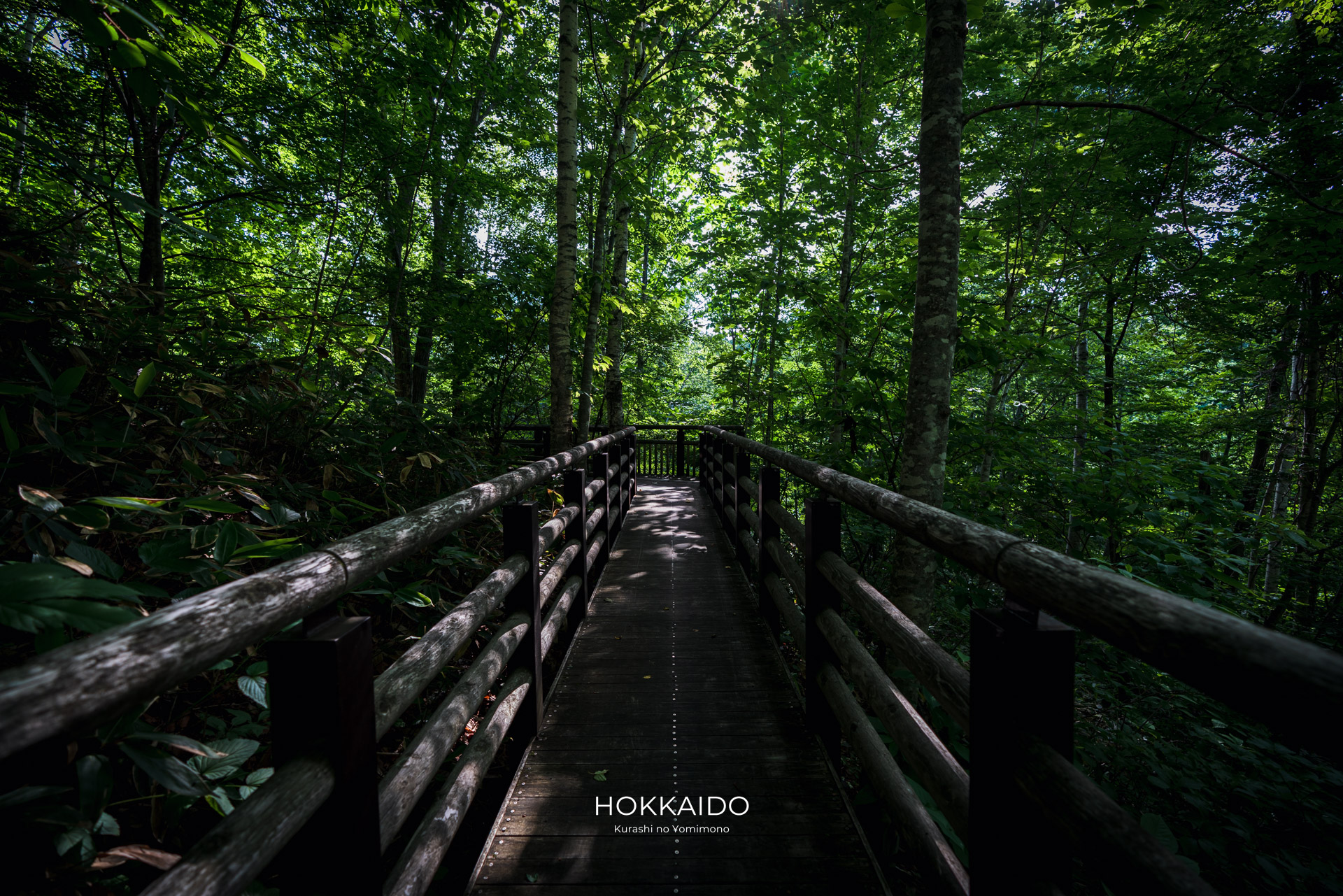 国営滝野すずらん公園 Takino Suzuran Hillside National Park 画像5