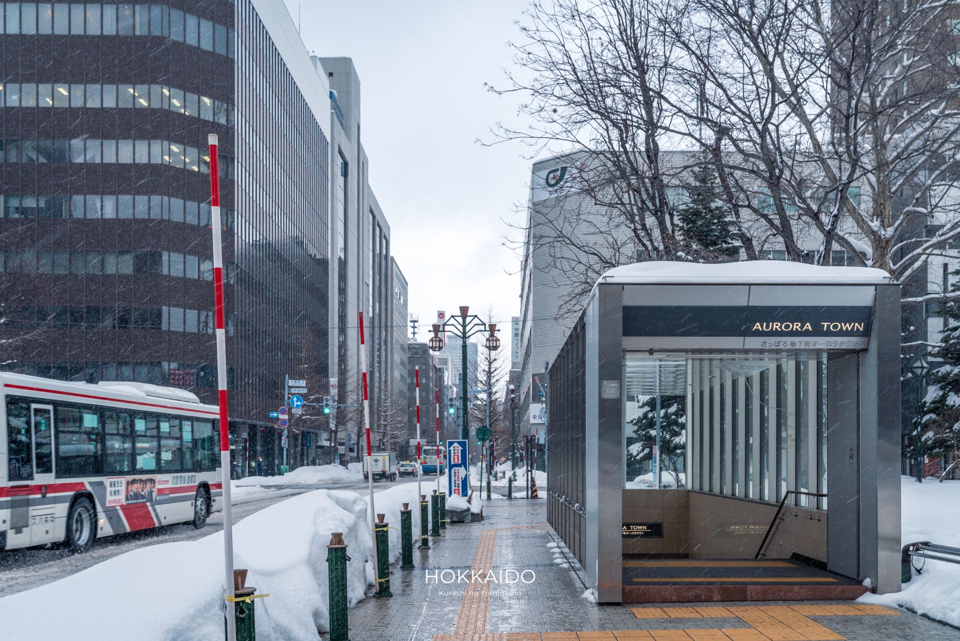 オーロラタウン 大通公園2丁目 西 写真1