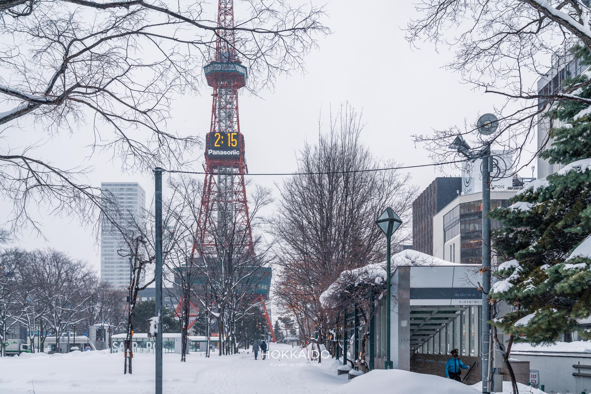 オーロラタウン 大通公園2丁目 中央 写真1