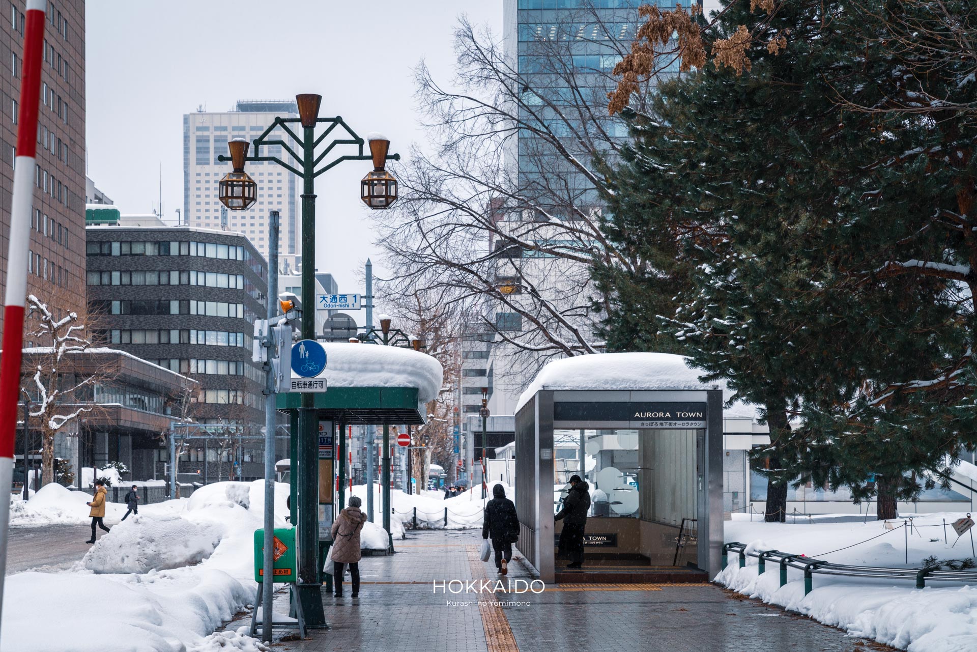 オーロラタウン 大通公園1丁目 写真1