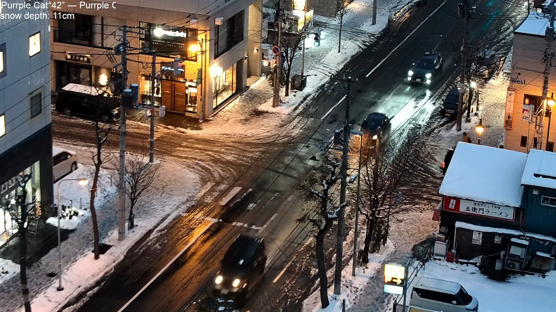 2024年11月24日 札幌では湿った雪がシャーベット状に