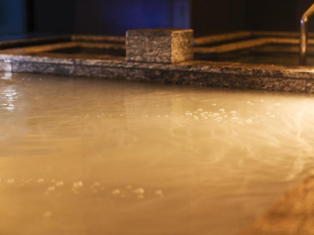 ホテルエミオン札幌 Hotel Emion Sapporo 画像8