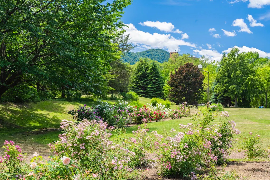 ホテルマイステイズ札幌中島公園 HOTEL MYSTAYS Sapporo Nakajima Park 画像26