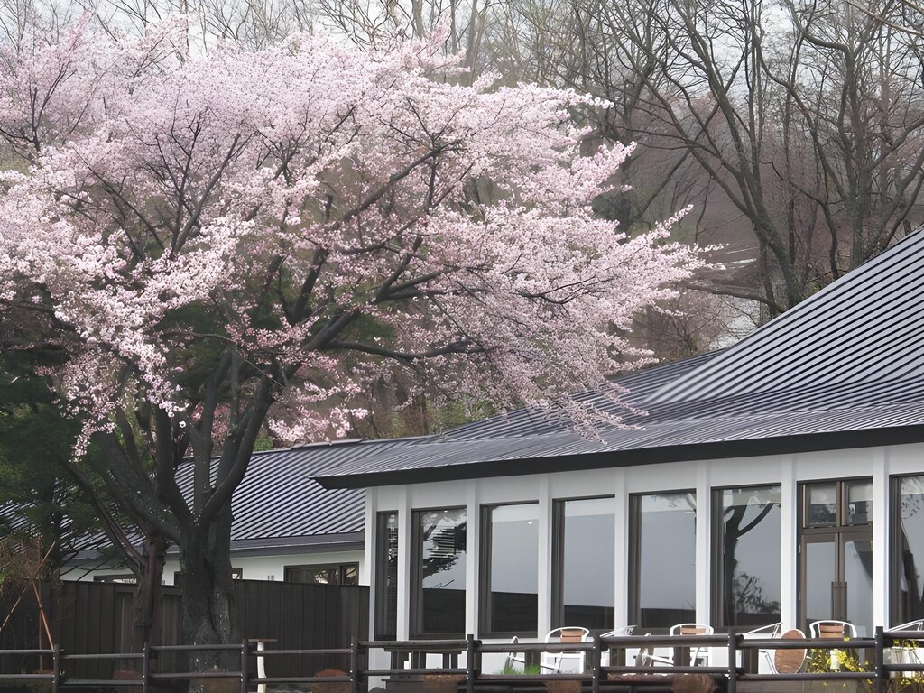 支笏湖温泉 レイクサイドヴィラ翠明閣 Lakeside Villa Suimeikaku 画像13