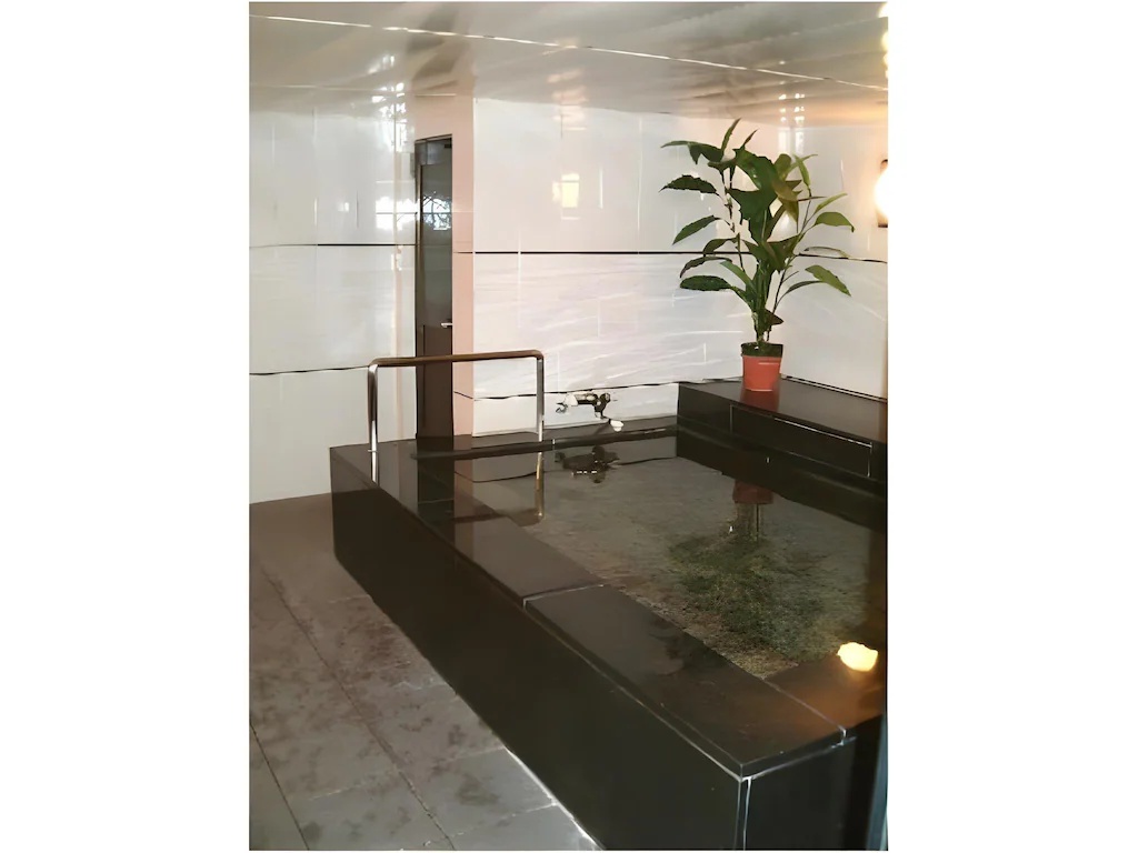 中村屋旅館 Nakamuraya Ryokan 画像3