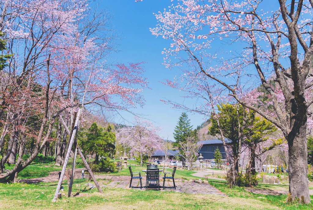 奥定山渓温泉 佳松御苑 Okujozankeionsen Kashogyoen 画像26