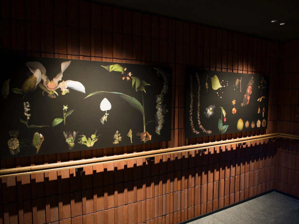 ザ ノット 札幌 THE KNOT SAPPORO 画像25