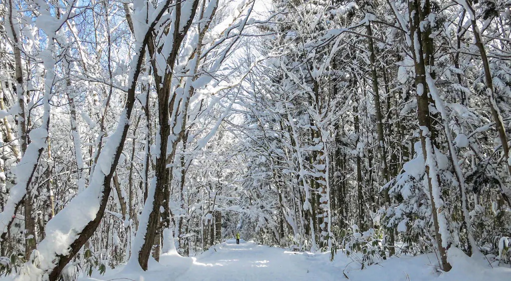 VILLA BRAMARE VILLA BRAMARE 画像17