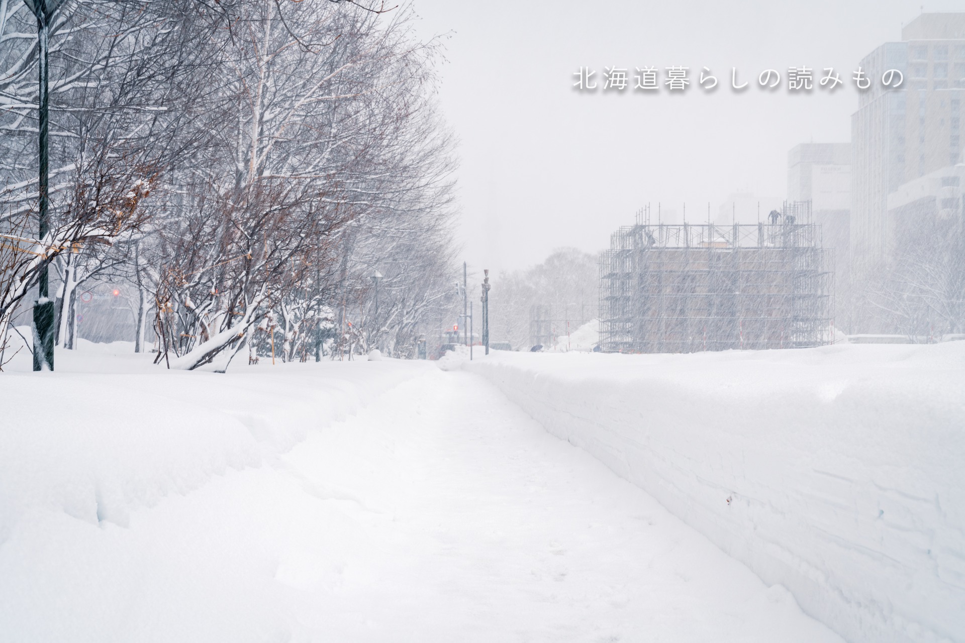 ふかふかの雪道