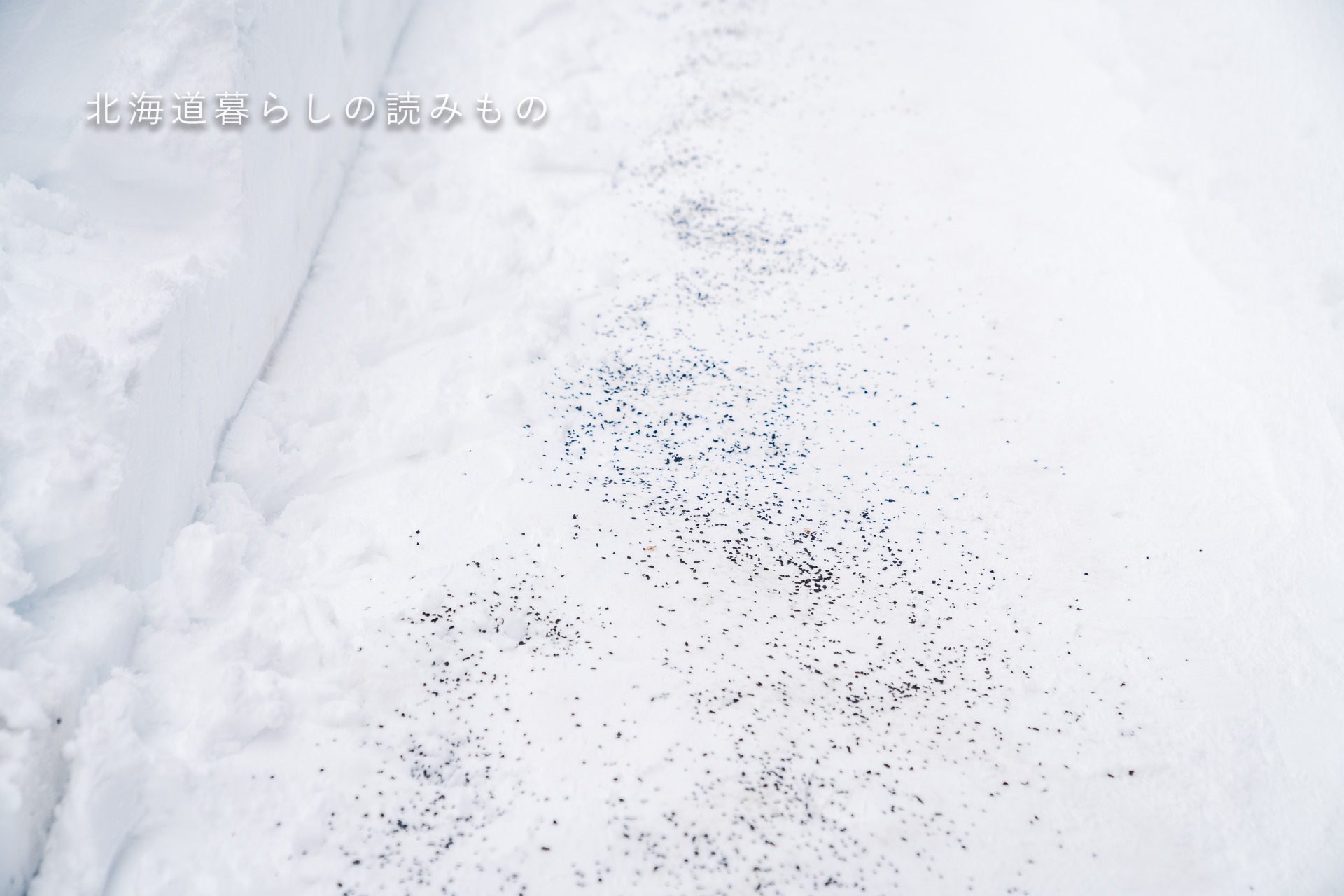 滑り止めの砂利